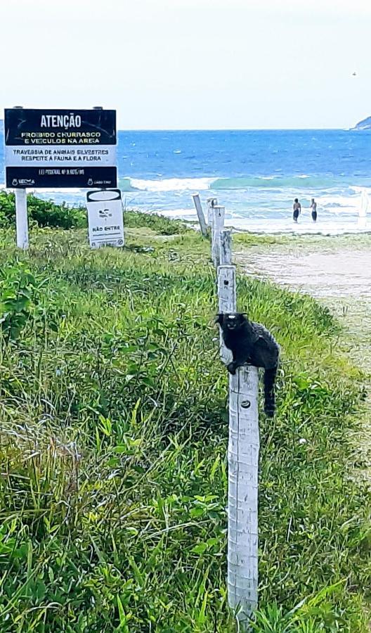 Prisco Cabo Frio